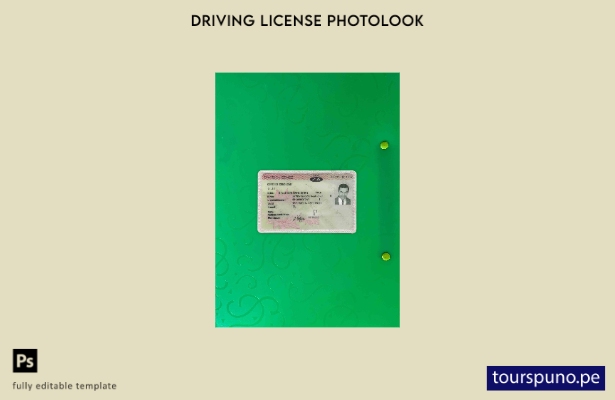 listo para imprimir plantilla FRONTAL de aspecto fotográfico DL de Sudáfrica